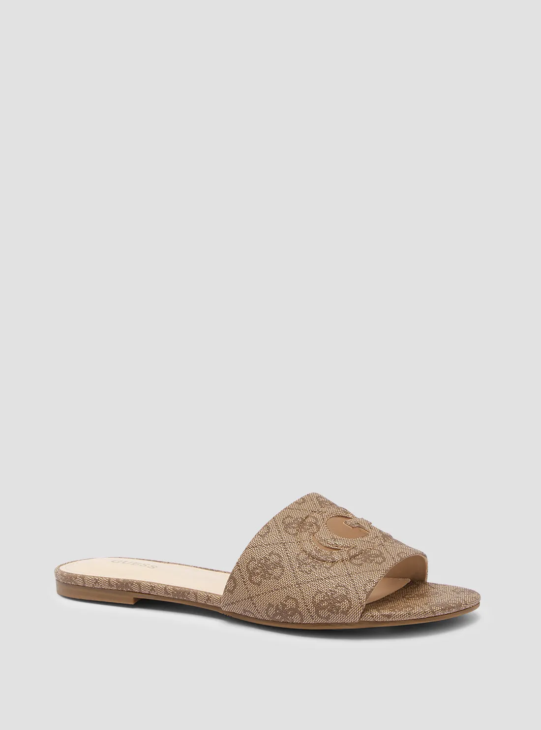 Brown Tashia Cutout Logo Slides