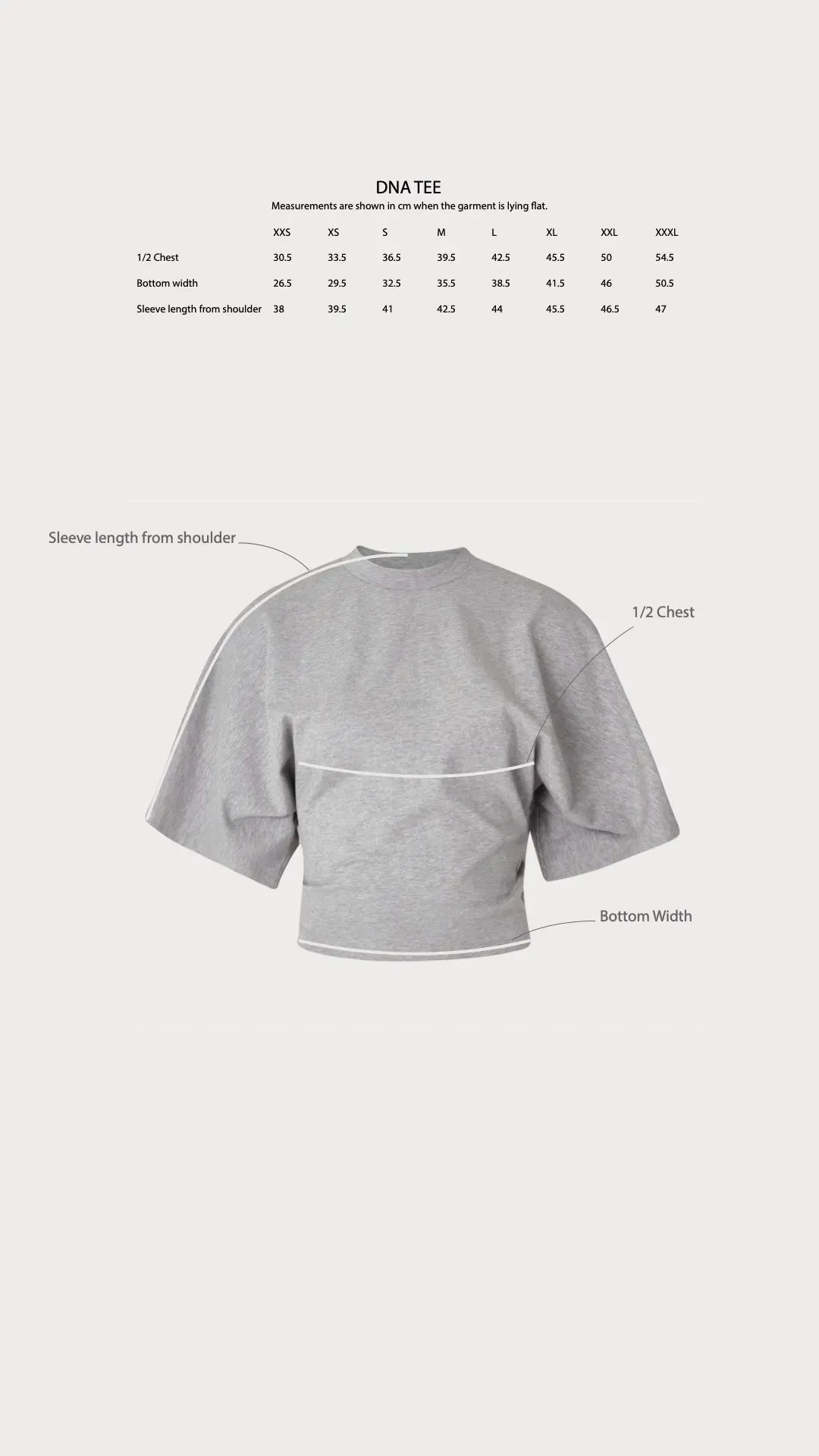 Dna Tee - Grey Melange